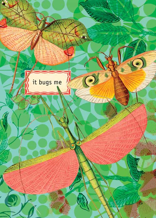 It Bugs Me Greeting Card