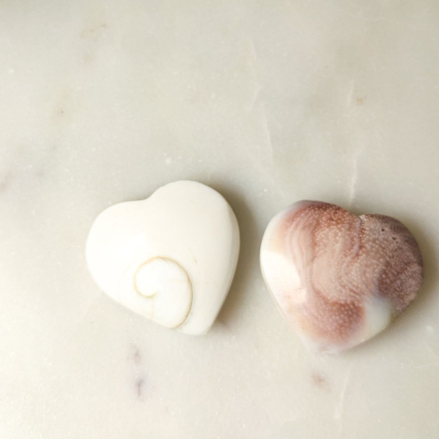 Shiva Shell Heart