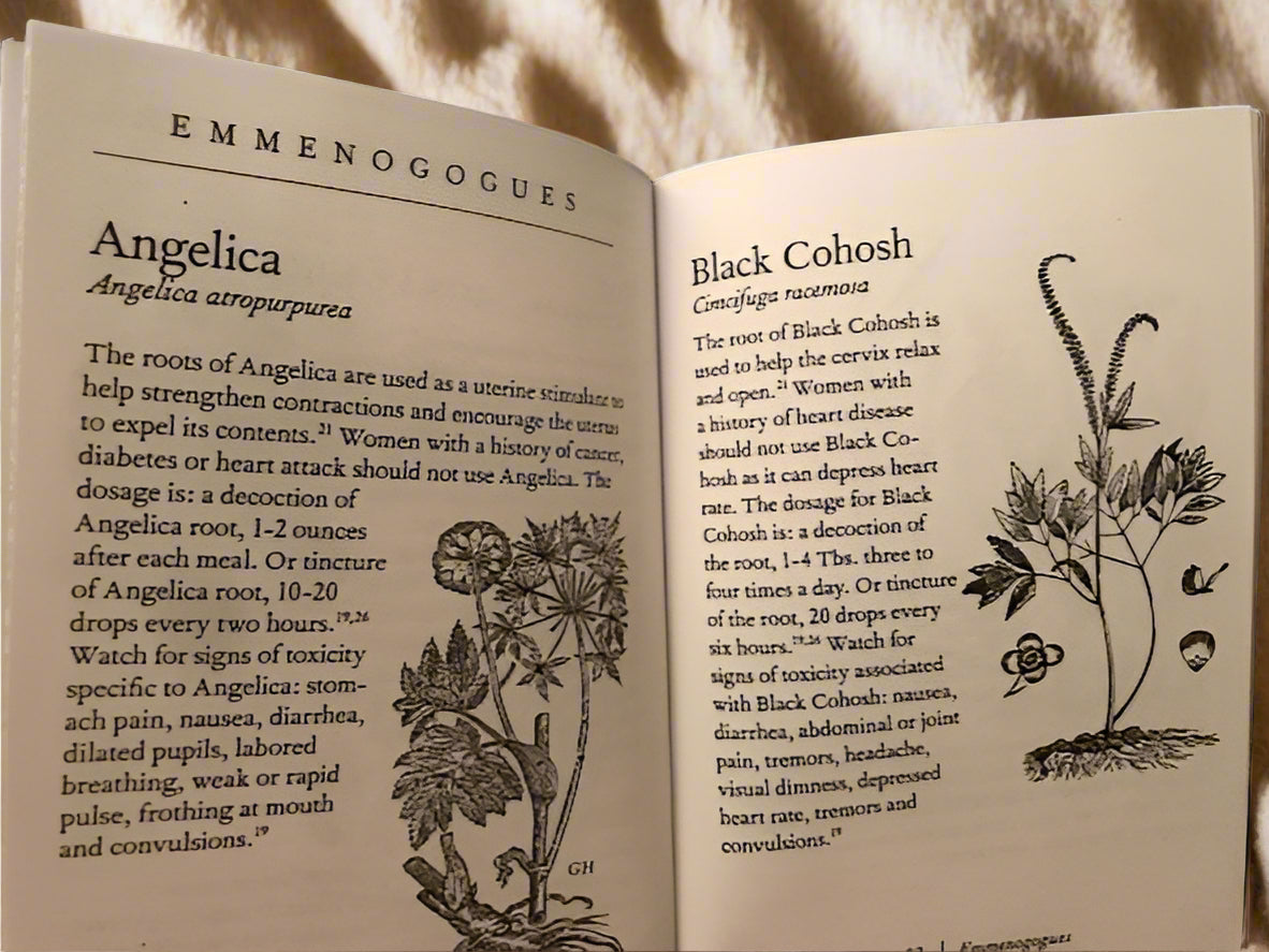 Reclaiming Our Ancient Wisdom: Midwives & Herbalists