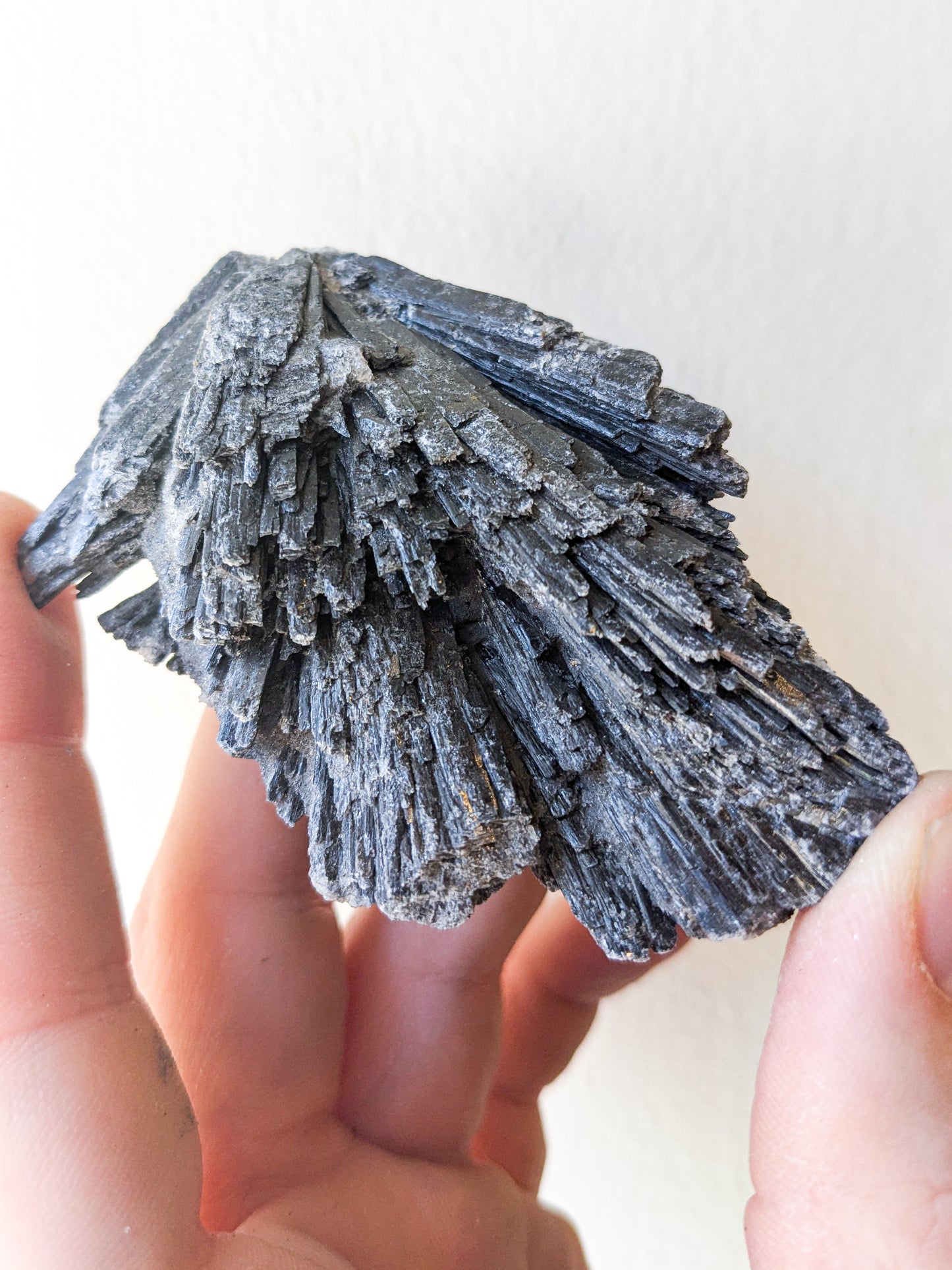 Kyanite | Black Witch Broom
