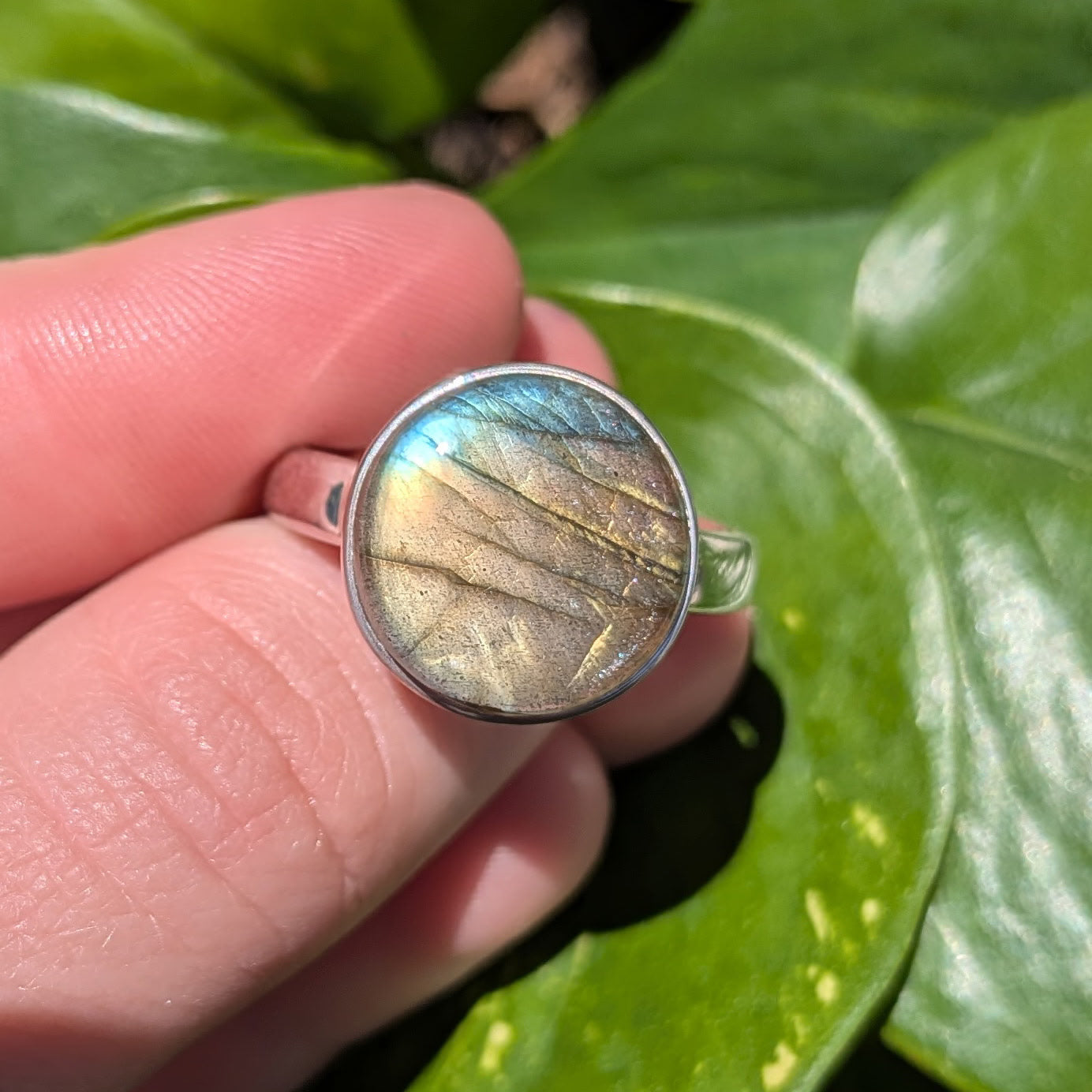 Multi Fire Labradorite Sterling Silver Ring
