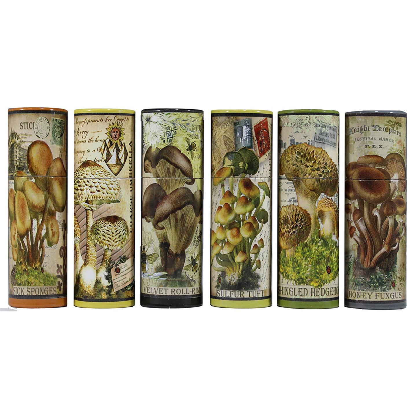 Vintage Mushroom Illustration Match Tube | Various Designs