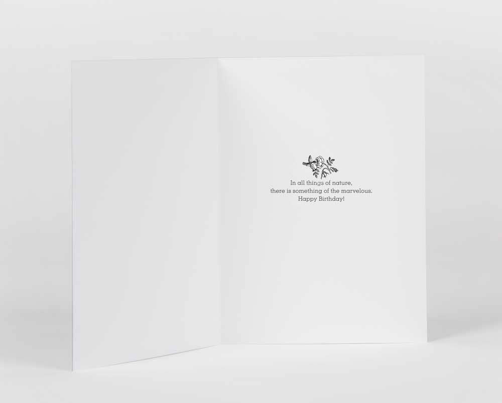 Hummingbirds Birthday Greeting Card