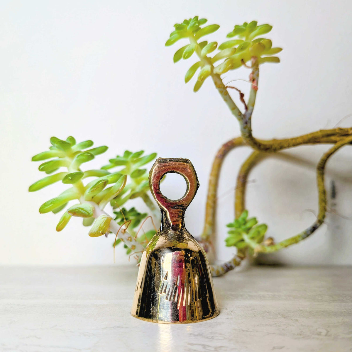 Handcrafted brass bell, one of six assorted designs, view 7, at Ordinary Magic in Savannah, GA.