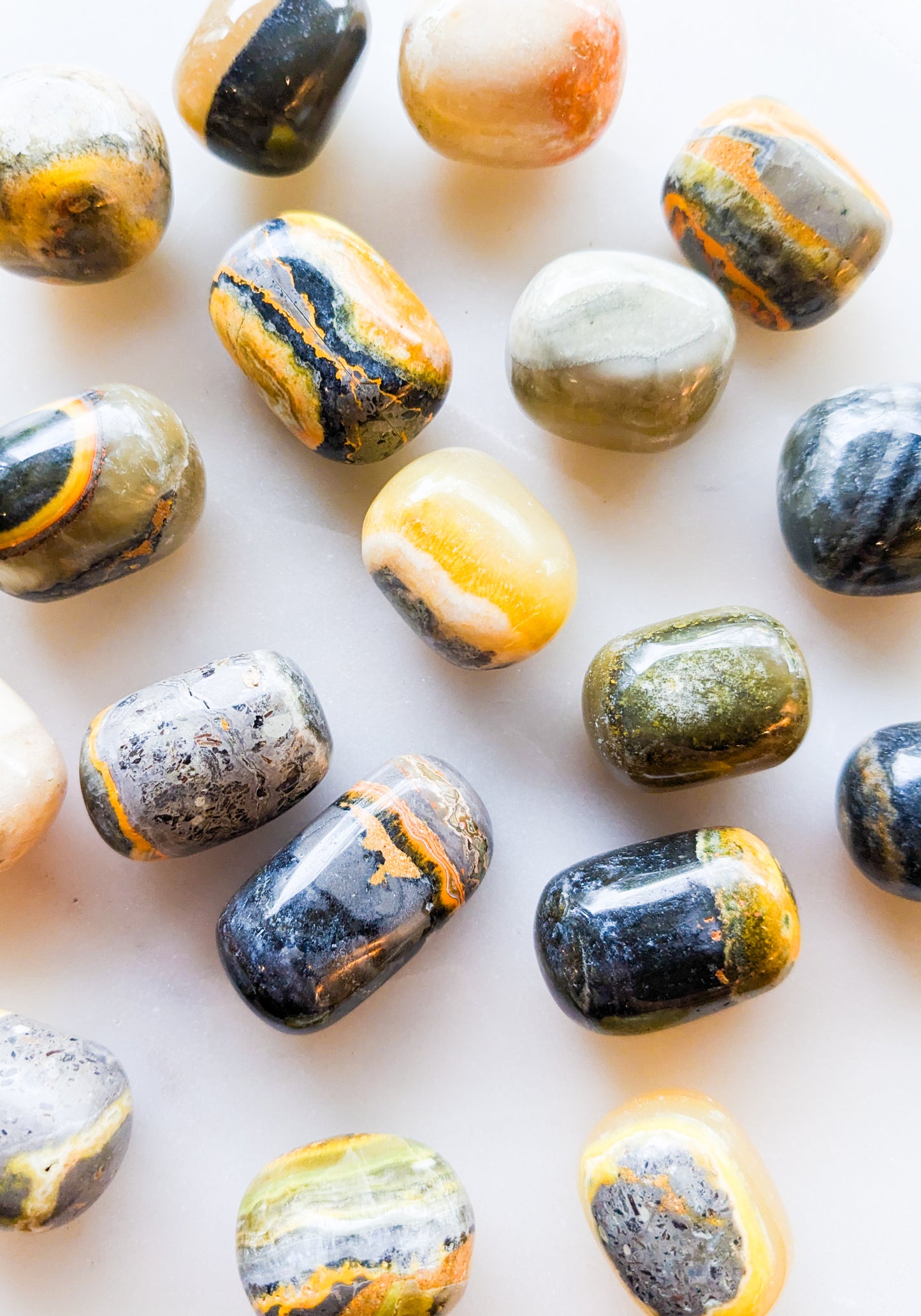 Bumblebee Jasper Tumble