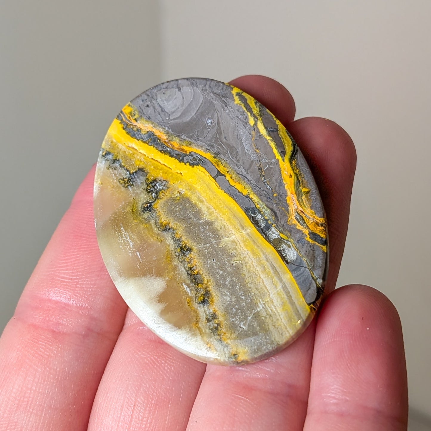 Bumblebee Jasper Worry Stone