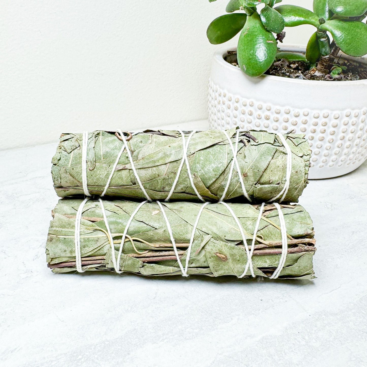 Eucalyptus Cleansing Wand