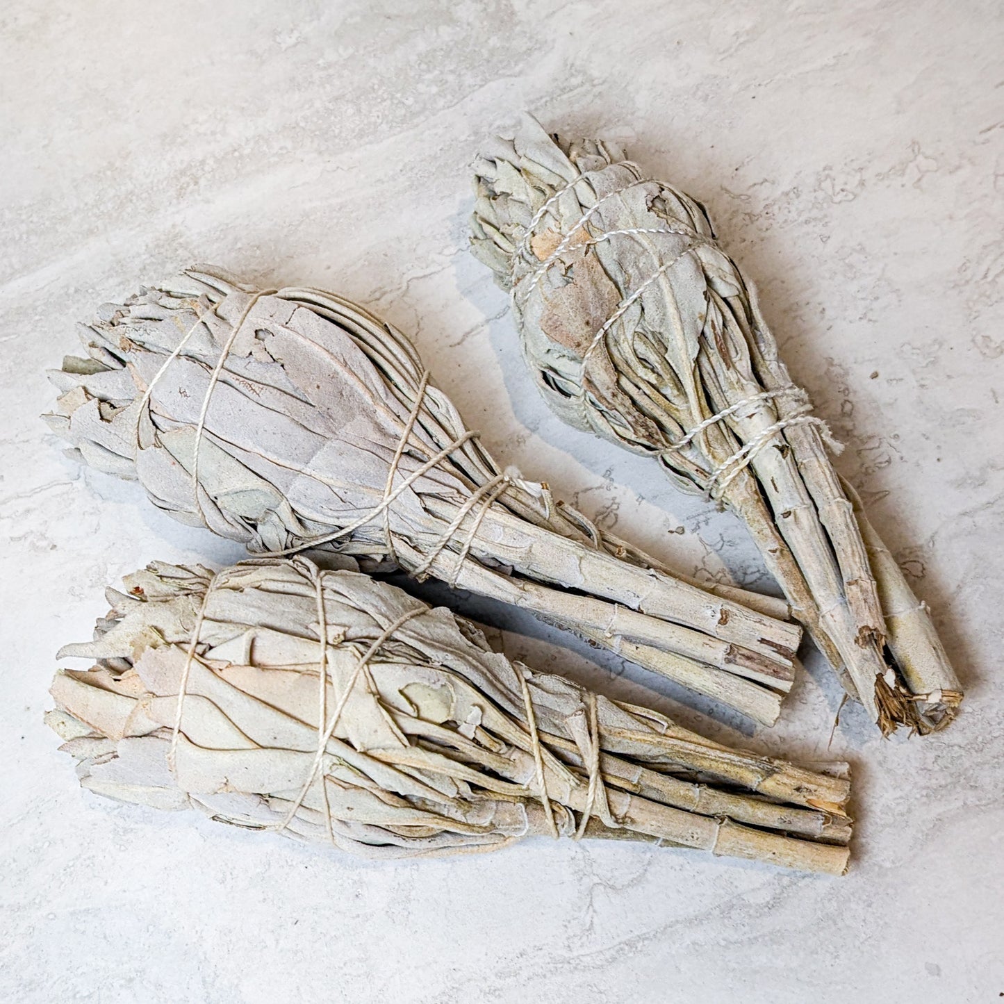 California White Sage Burn Torch