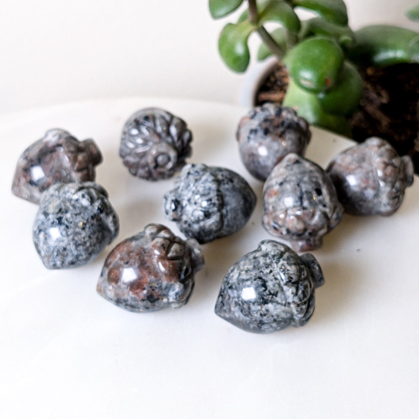 Crystal Acorns | Various Stones