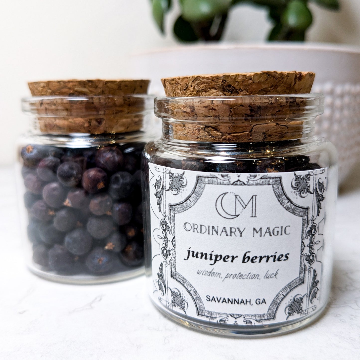 Herbs & Salts | Various Loose Herbs + Salts for spells and magick
