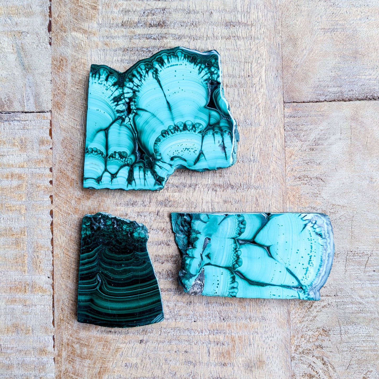 Malachite Slices 2-4"
