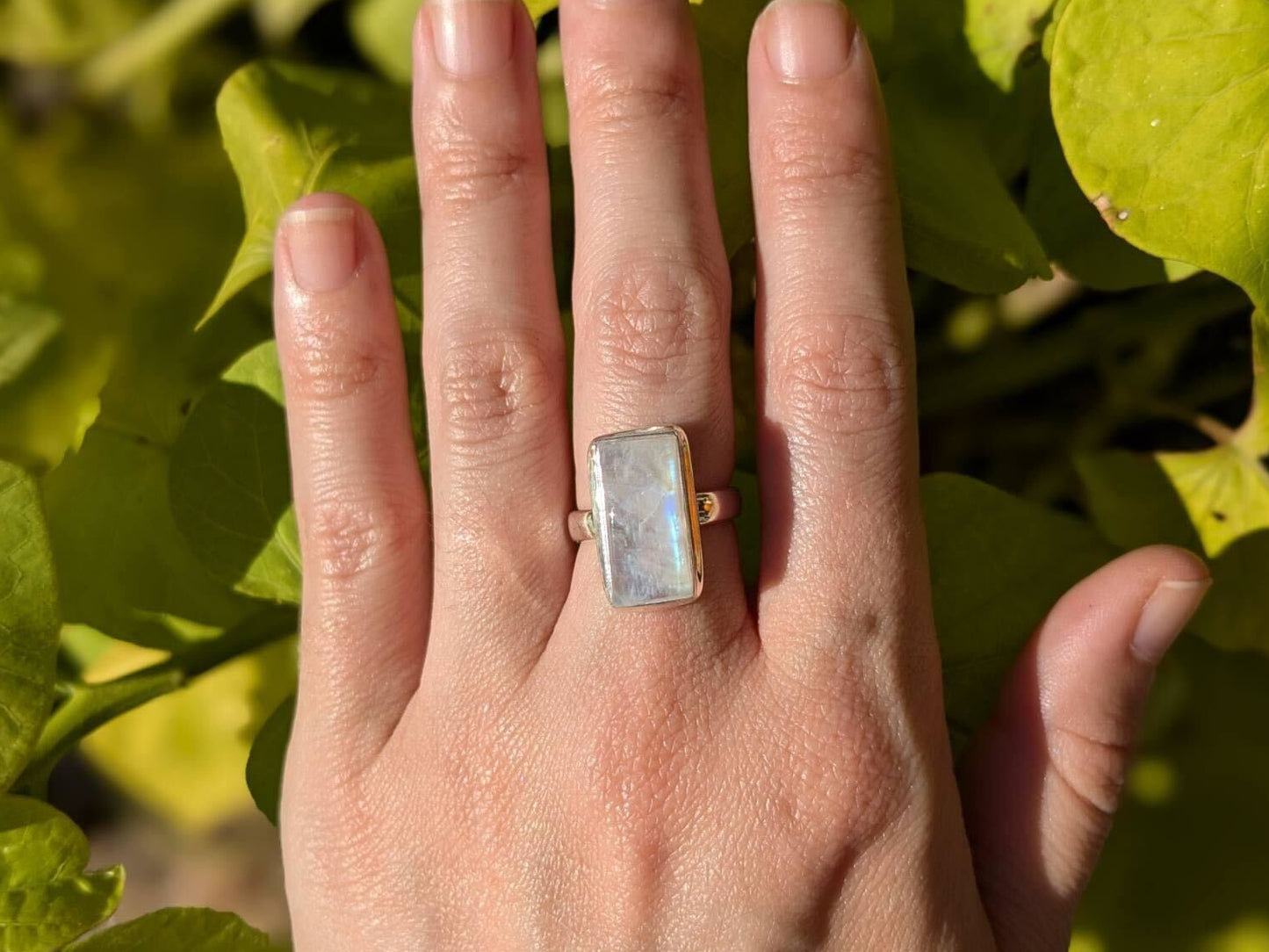 Rainbow Moonstone Rings