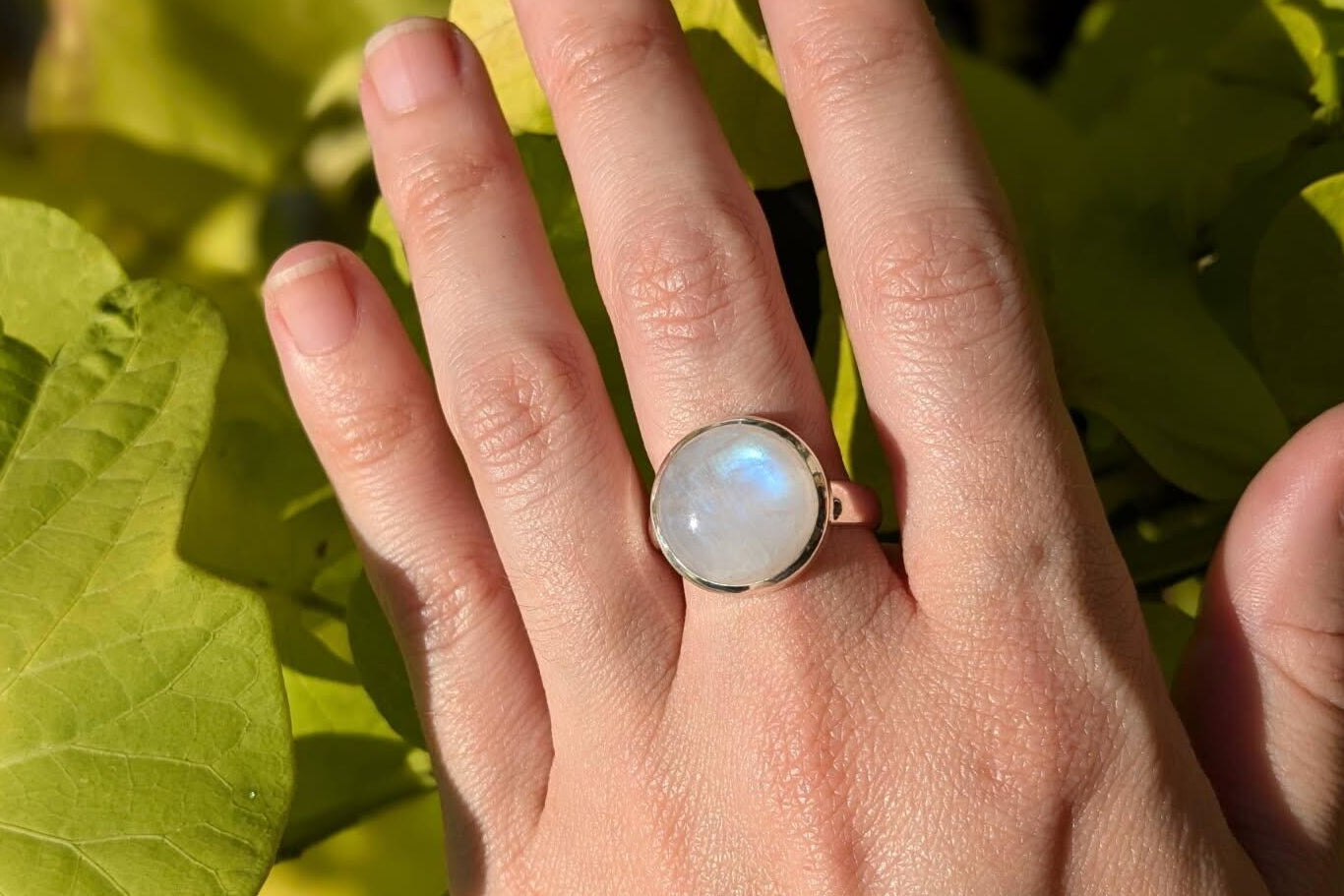 Rainbow Moonstone Rings
