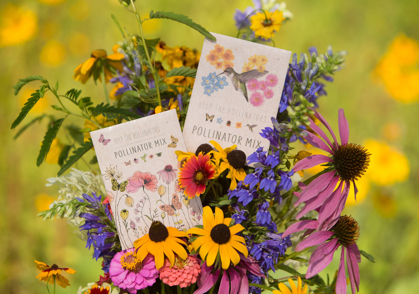 Eco-Friendly Seed Packets | Various Seeds