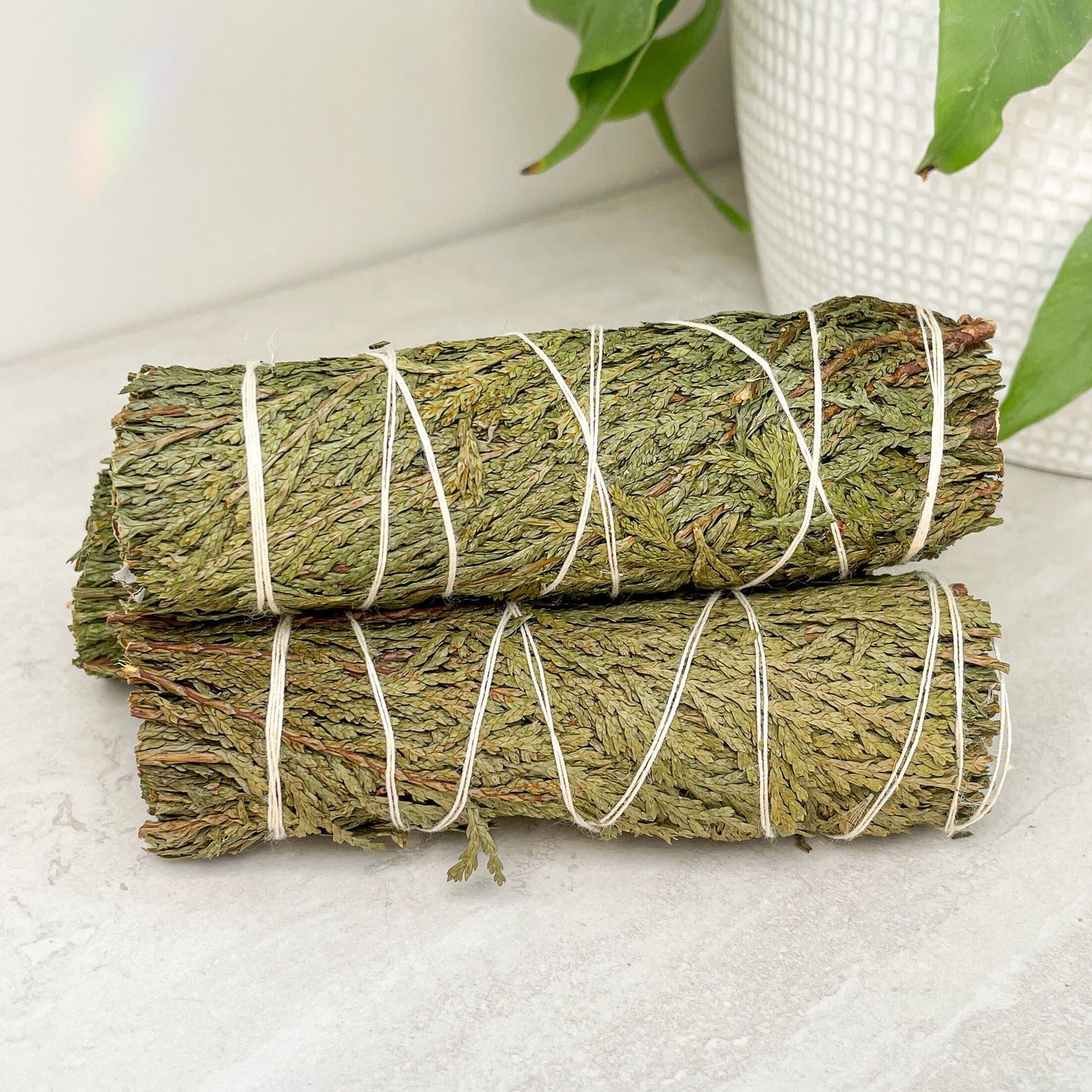 Cedar Cleansing Stick