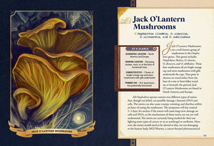 Little Book of Mushrooms by Alex Dorr