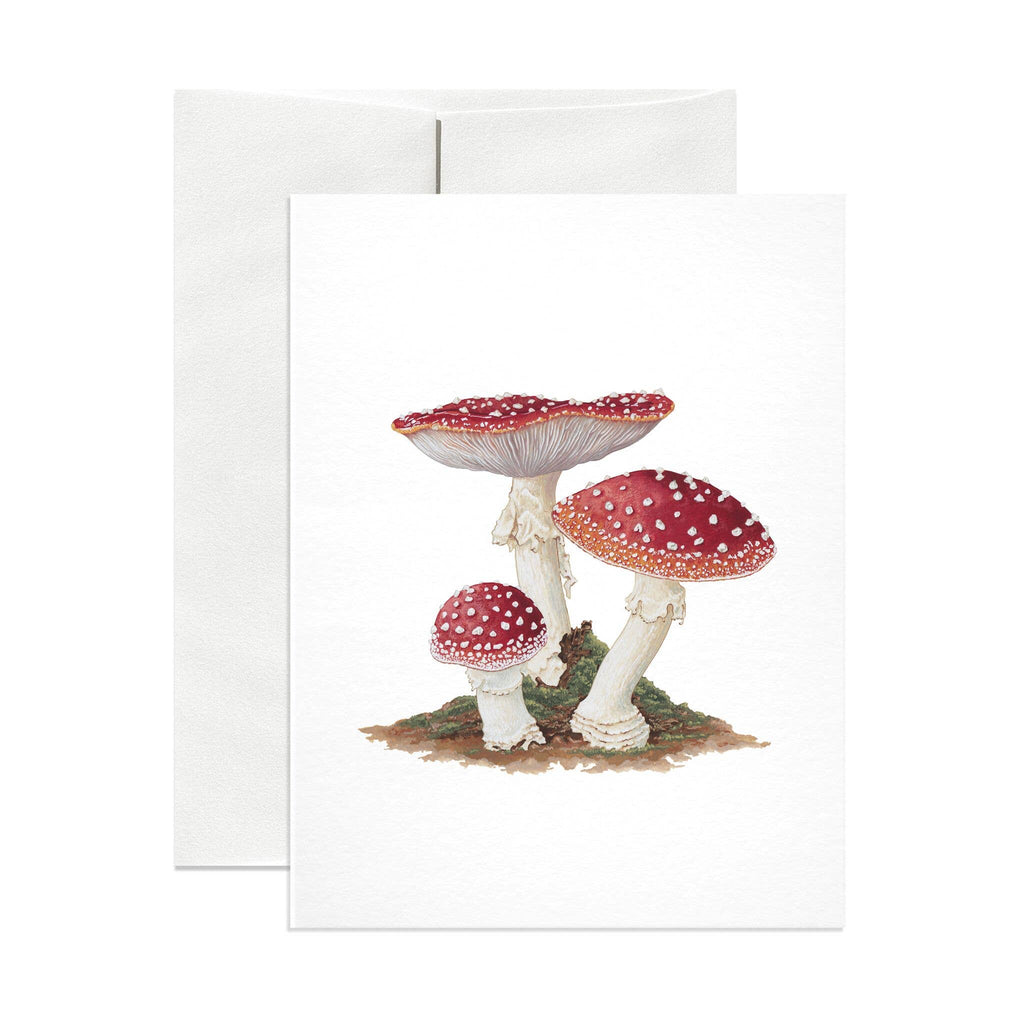 Amanita Muscaria Mushroom Greeting Card