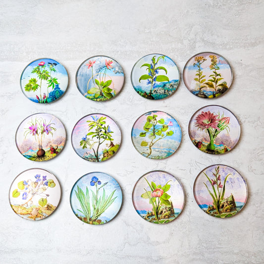 16th Century Watercolor Magnets | Various Designs