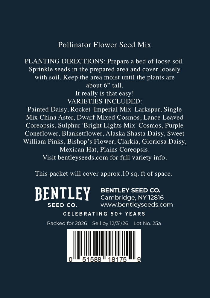 Hanukkah Menorah Wildflower Seeds | Holiday Gift Tag Seed Packet