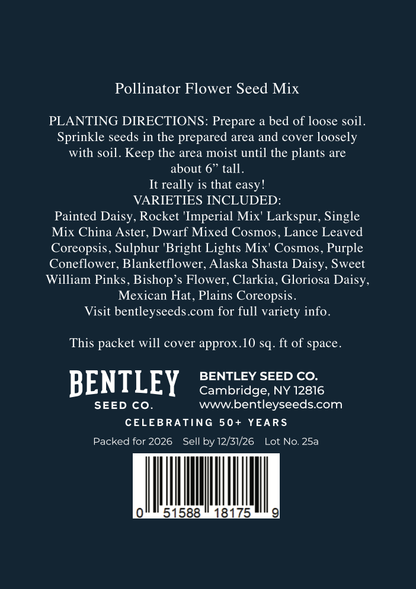 Hanukkah Menorah Wildflower Seeds | Holiday Gift Tag Seed Packet