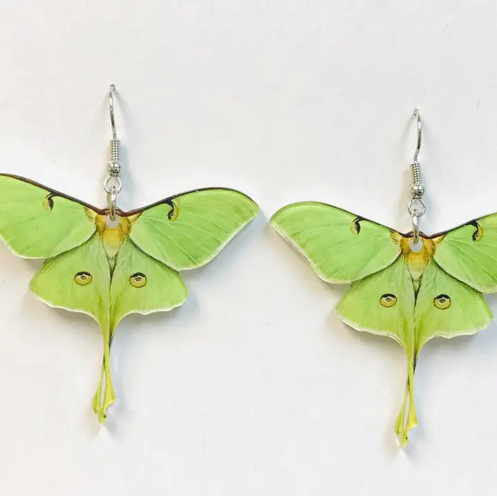 Acrylic Luna Moth with Silver Earrings
