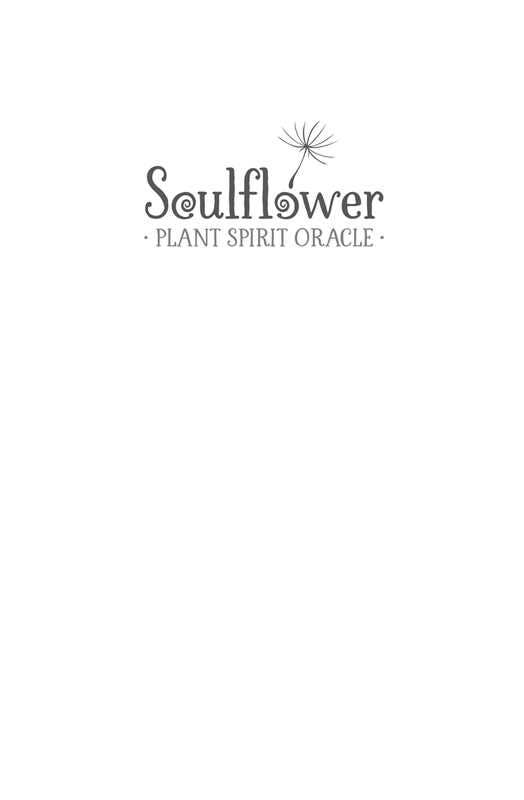 Soulflower Plant Spirit Oracle by Lisa Estabrook