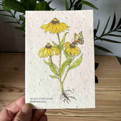 Black Eyed Susan Plantable Wildflower Seed Greeting Card