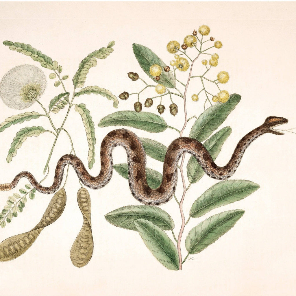 Viper snake and acacia print