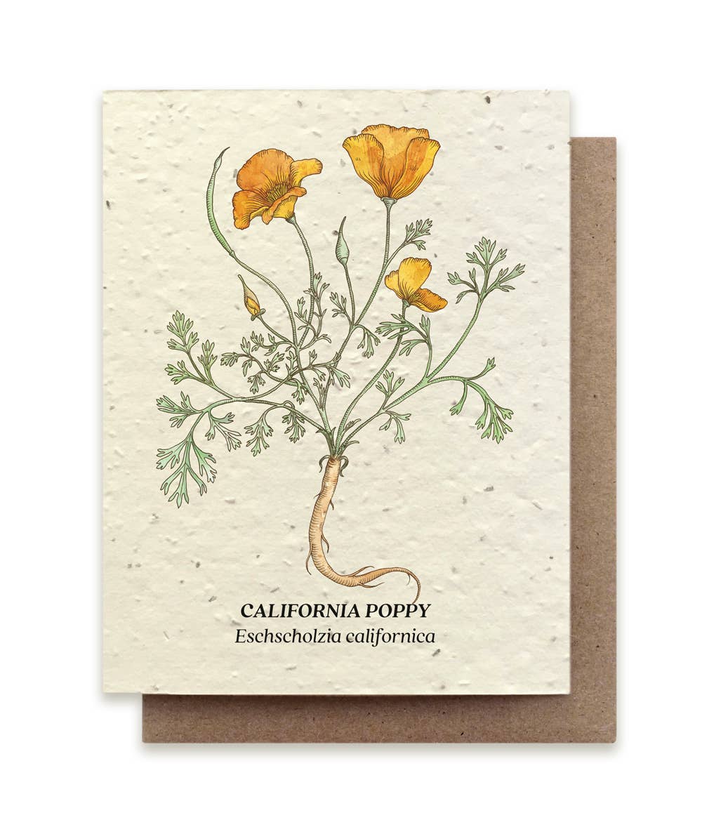 Plantable Wildflower Seed Cards | Various Designs