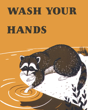 Wash Your Hands Racoon Print