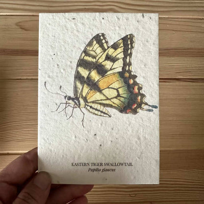 Eastern Tiger Swallowtail Butterfly Seed Greeting Card