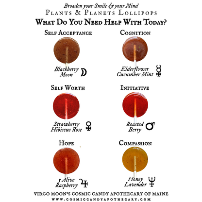 Plants & Planets Lollipops - Assorted Flavors