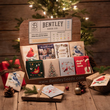 Merry Christmas Wreath of Birds Gift Tag - Bird & Butterfly Wildflower Seed Pack