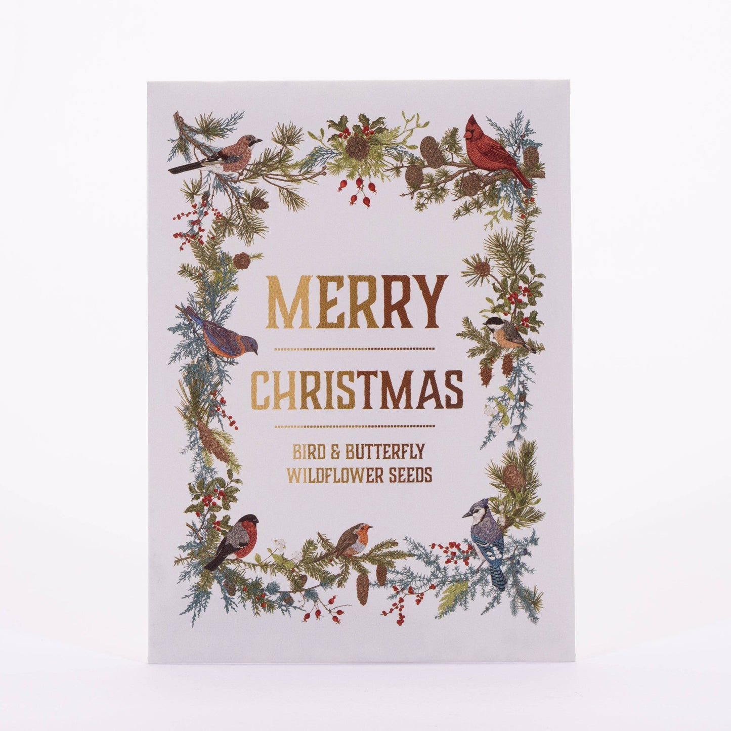 Merry Christmas Wreath of Birds Gift Tag - Bird & Butterfly Wildflower Seed Pack