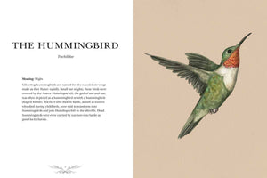 Ornithography by Jessica  Roux