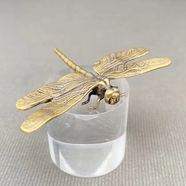 Brass Dragonfly