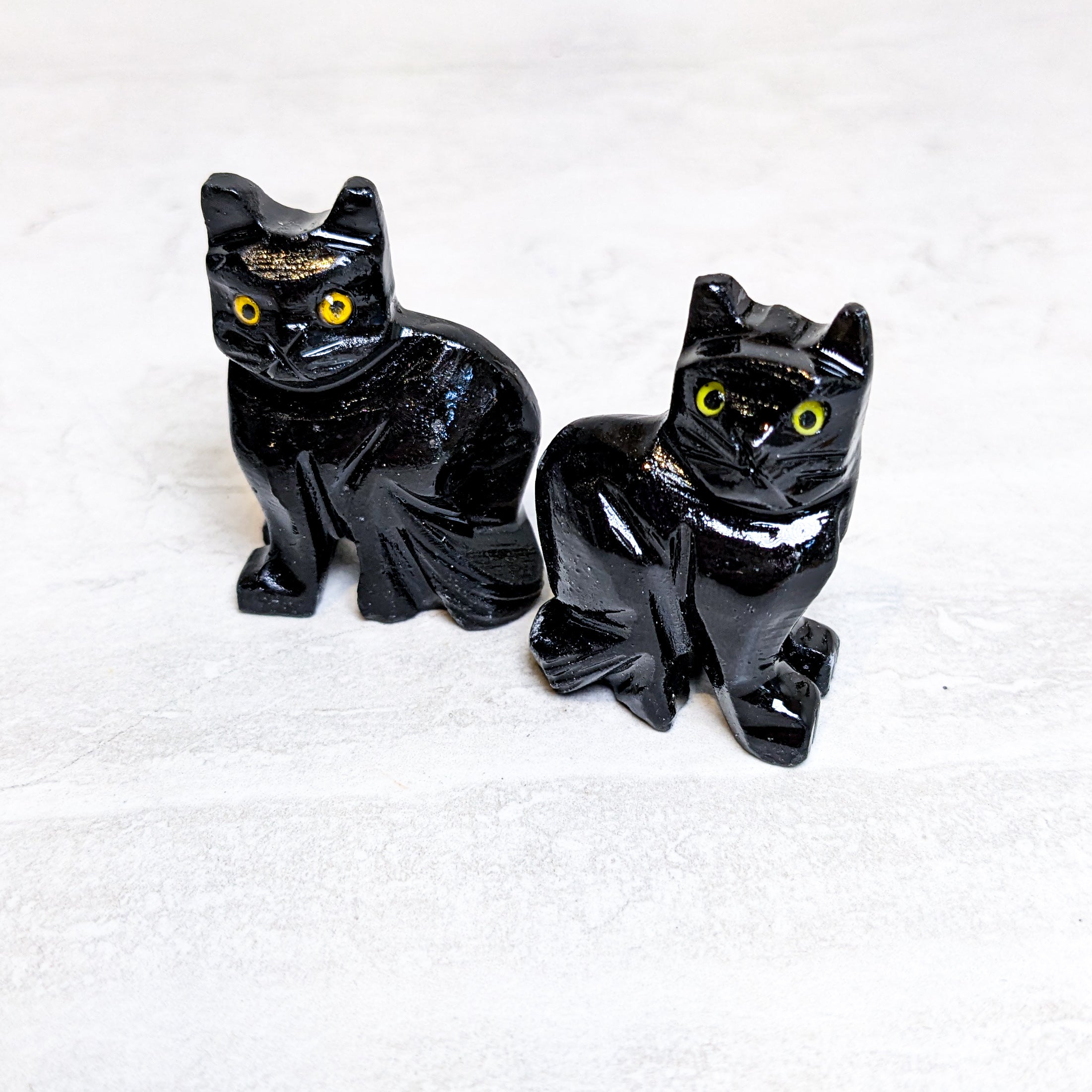 Black Onyx Cat