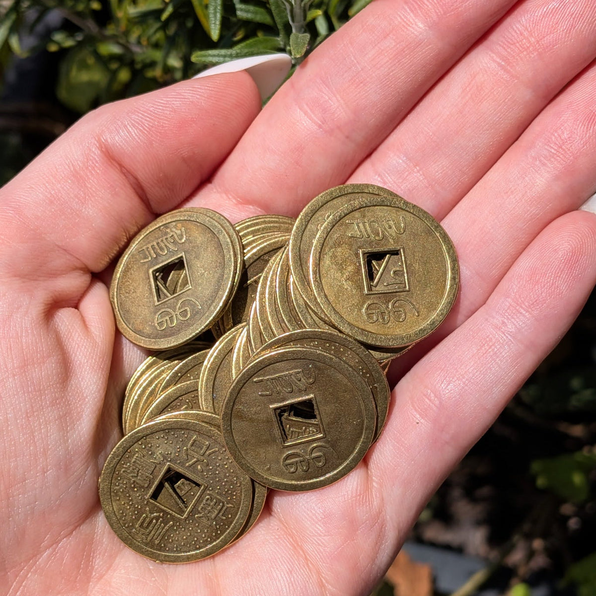 Feng Shui Prosperity Coin