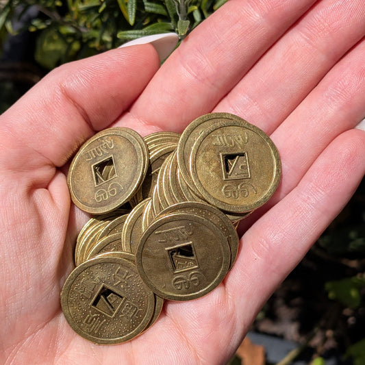 Feng Shui Prosperity Coin