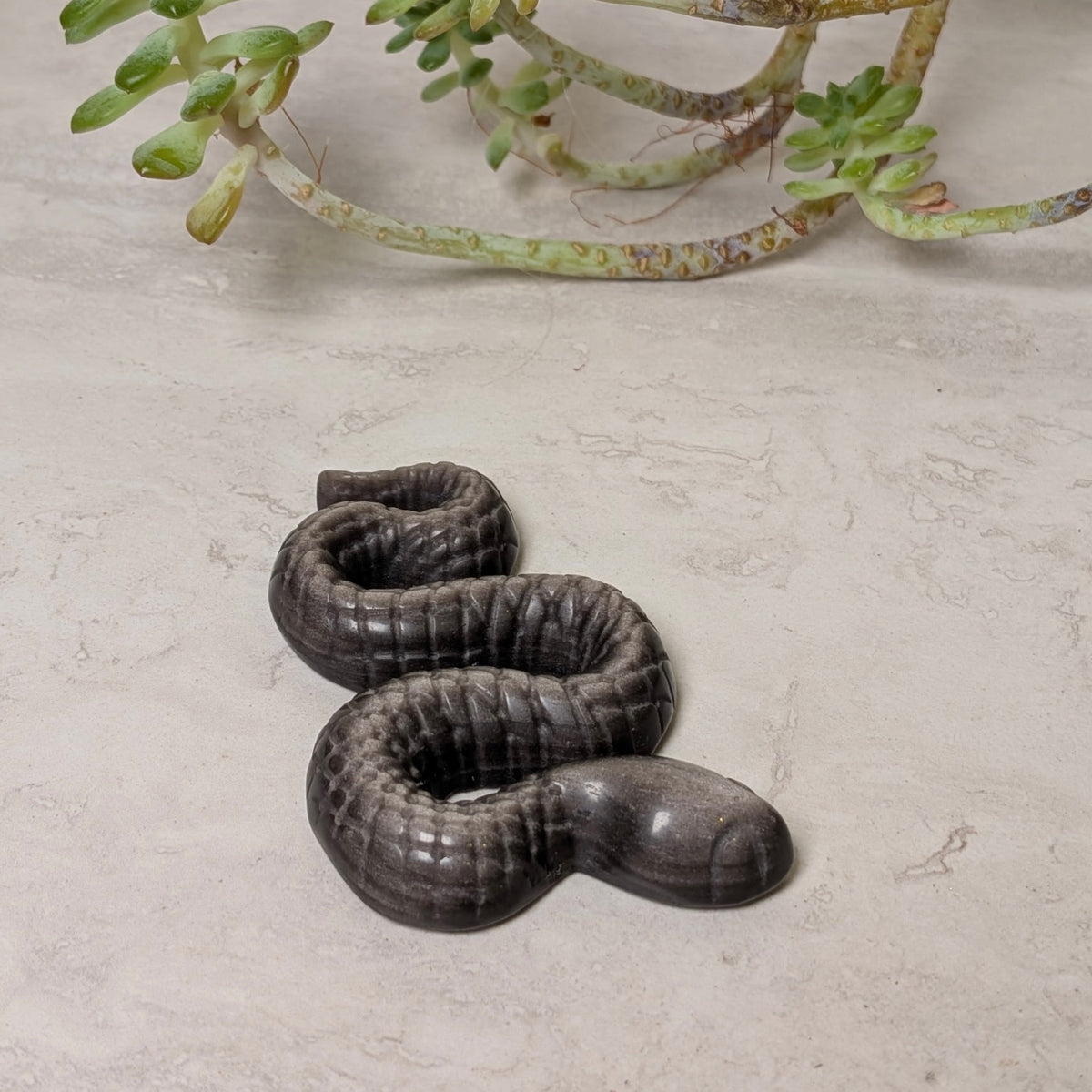 Carved sheen obsidian snake, coiled, with a subtle gold-and-silver flash, at Ordinary Magic in Savannah, GA.