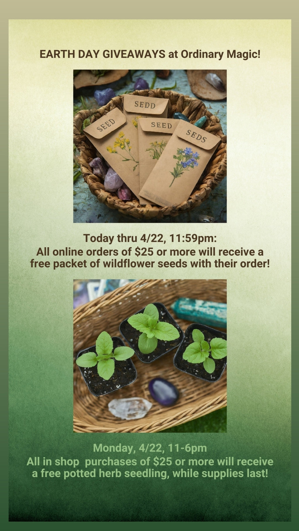 Earth Day Free Potted Herb Seedling