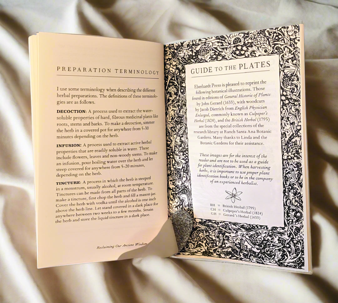 Reclaiming Our Ancient Wisdom: Midwives & Herbalists