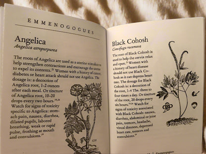 Reclaiming Our Ancient Wisdom: Midwives & Herbalists