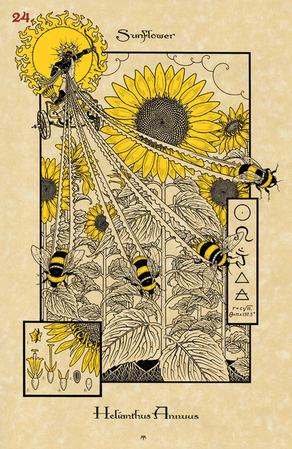 The Magickal Botanical Oracle