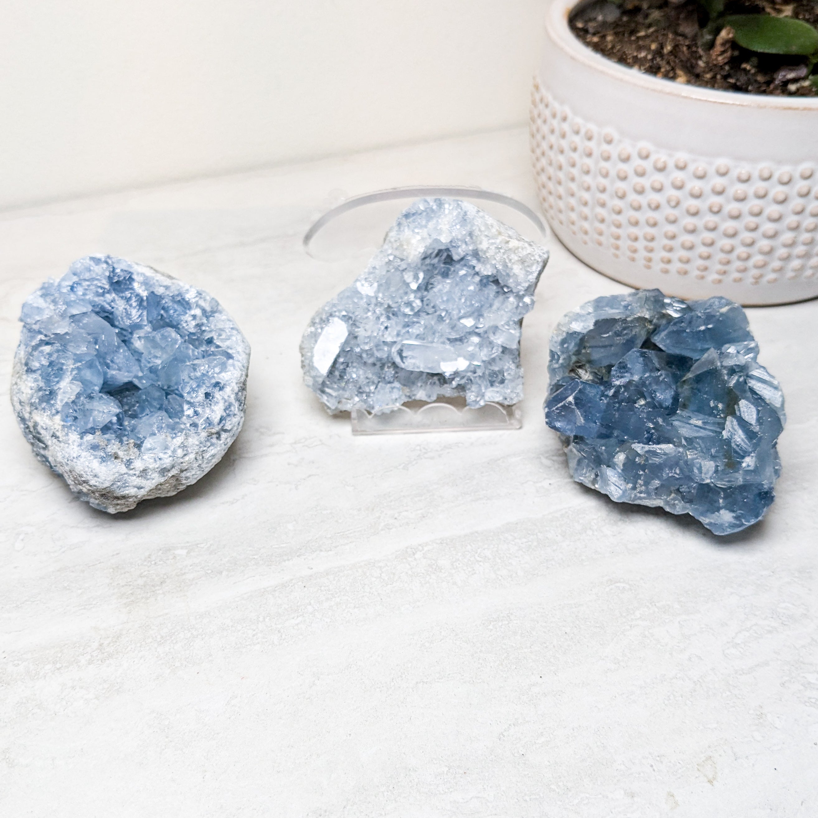 Celestite Specimens