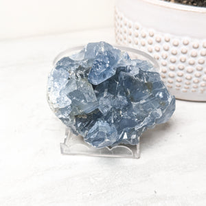 Celestite Specimens