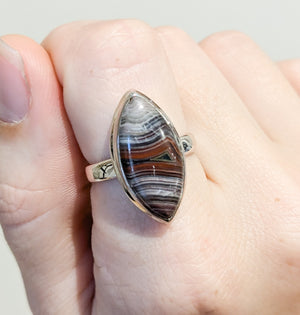 Laguna Lace Agate Sterling Silver Rings