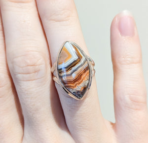 Laguna Lace Agate Sterling Silver Rings