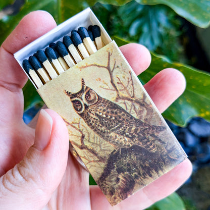 Vintage Owl Mini Matchboxes | Various Designs