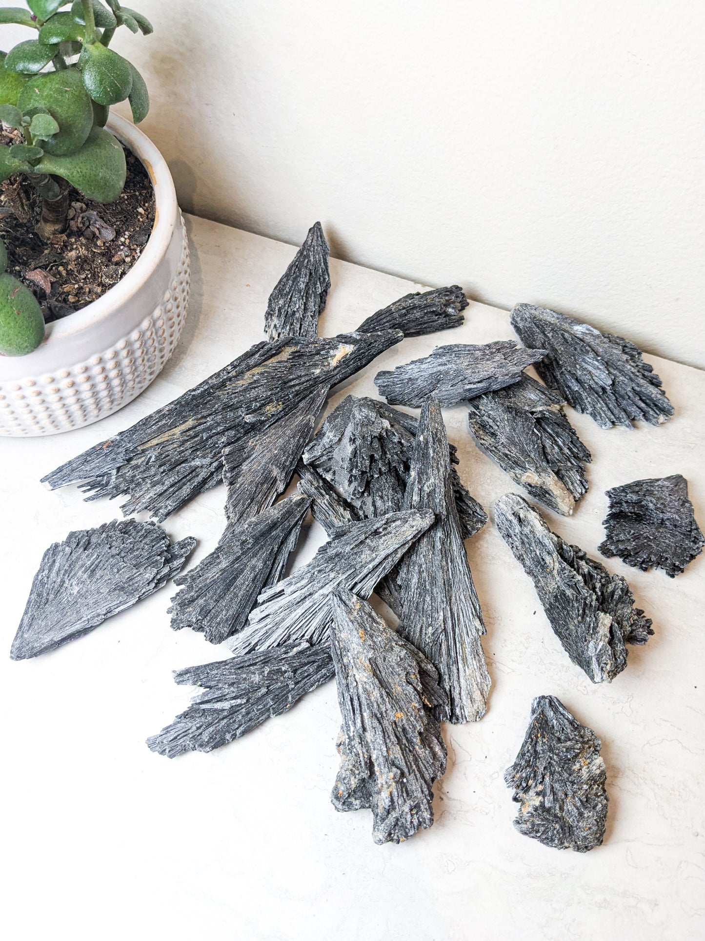 Kyanite  | Black Witch Broom